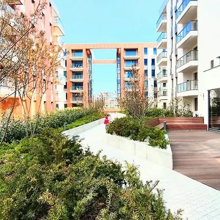 Amber Centrum Lux *